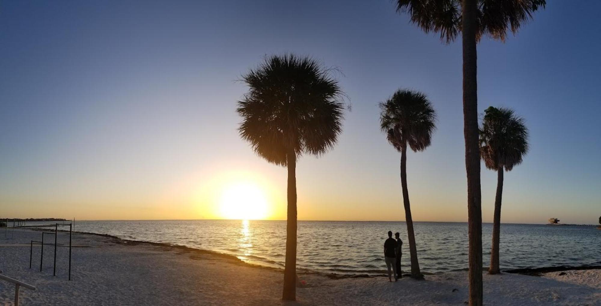 Elegant Studio Apartment In Downtown St Pete - Great Community Events! St. Petersburg Extérieur photo